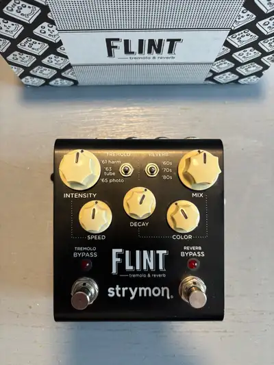 Strymon Flint, View more