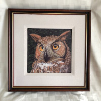 Beautiful Owl Framed Print by Alvin Herrington with COA