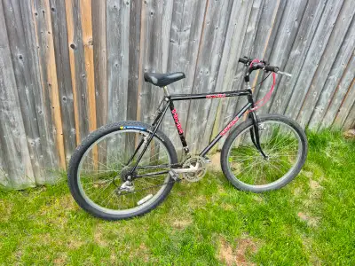 Takara large mountain bike w 21 inch frame, View more