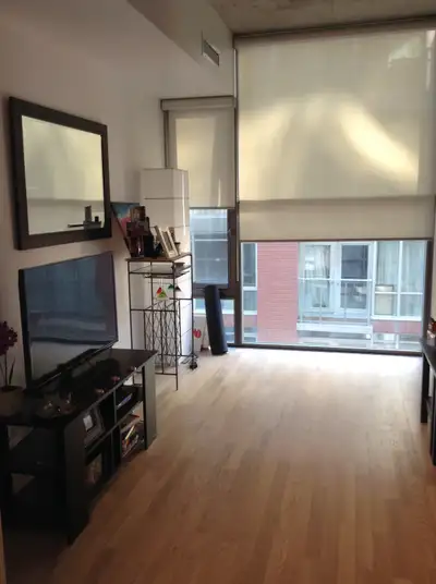 Junior 1-Bedroom Loft 25 Oxley St.(King & Spadina)