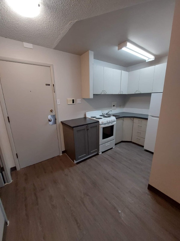 Renovated Downtown Studio Long Term Rentals Saskatoon Kijiji