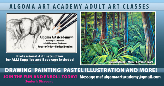 ART CLASSES FOR ADULTS DOWNTOWN SAULT STE. MARIE in Classes & Lessons in Sault Ste. Marie