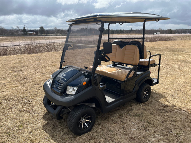 Electric Golf Cart in Other in Truro