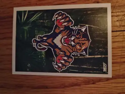 1993 Score FLORIDA PANTHERS Expansion Draft FIRST SEASON Hockey Card #491 Ottawa