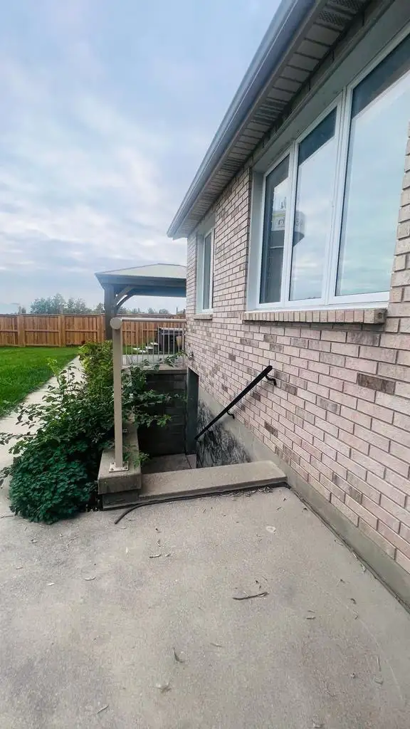 Basement for rent