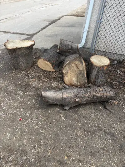 free wood, View more