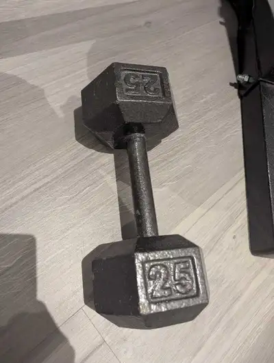 25lb Dumbbell, View more