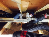 ATTIC INSULATION INSTALL & REMOVAL SERVICES
