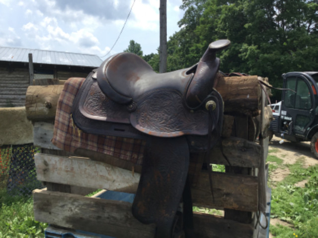 Horse saddle in Equestrian & Livestock Accessories in Belleville - Image 2