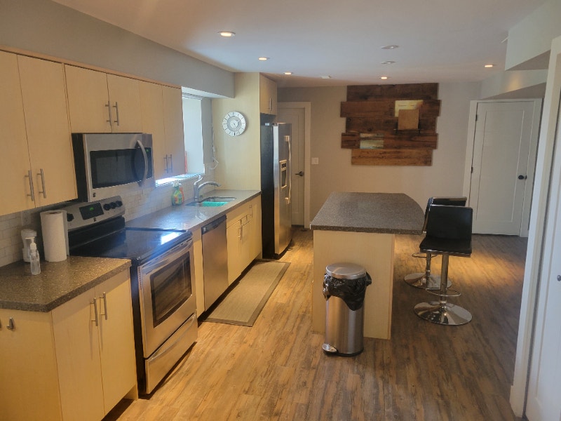 Newly renovated 1 Bedroom basement with view of Mt Baker. Long Term