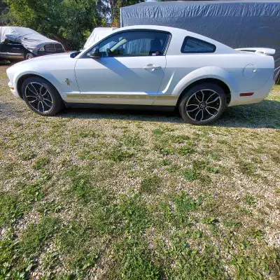 I'm selling a white 2006 Ford Mustang Pony model, known for its sleek design and spirited performanc...