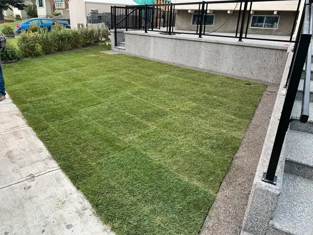 Landscaping,Concrete, Fencing,Paving & Much More!62863245073666127