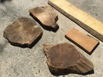 Red Cedar, Maple Burls by the Pound, View more