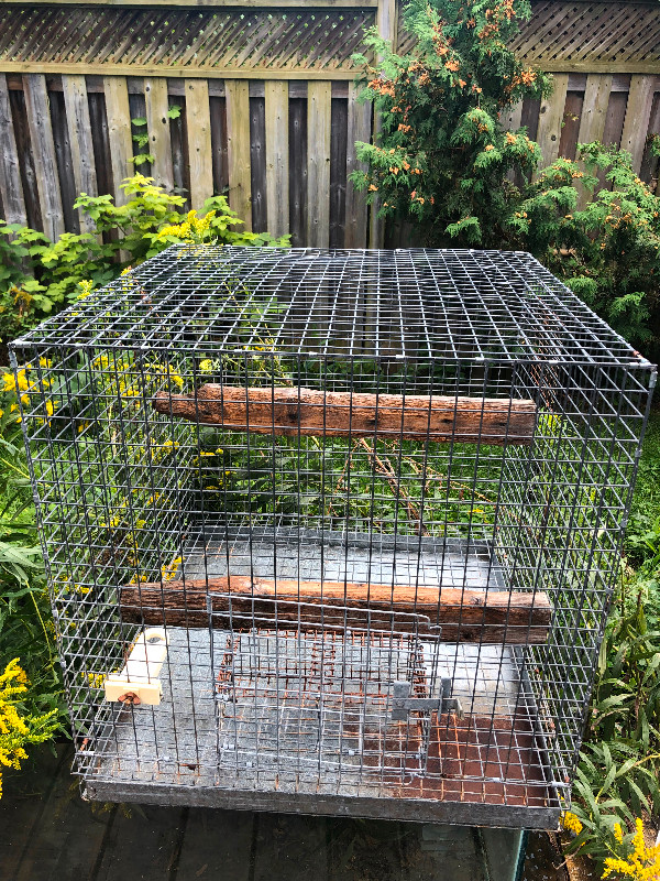 Bird cage in Accessories in Kitchener / Waterloo