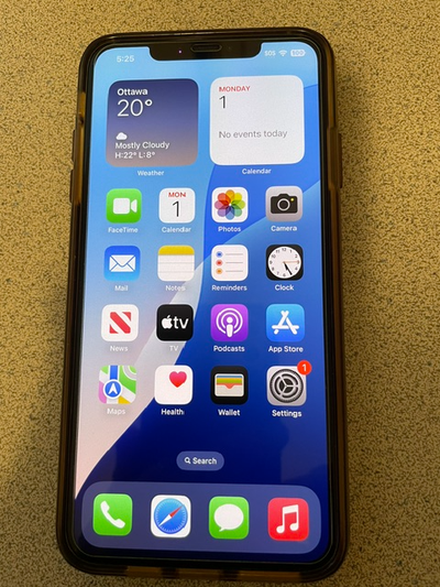 iPhone Xs Max with 100% Battery, View more