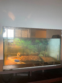 Red eared turtle (female) + tank set-up (NO FILTER)
