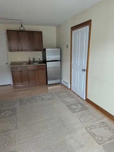 Very cute one-bedroom avail Apr 1st located in Elmvale Ont. Large deck and free parking. Thx
