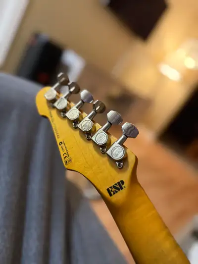 For trade/sale ESP LTD TE-202 black relic, View more