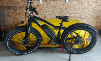 RadRover Fat Bike Electric Bicycle