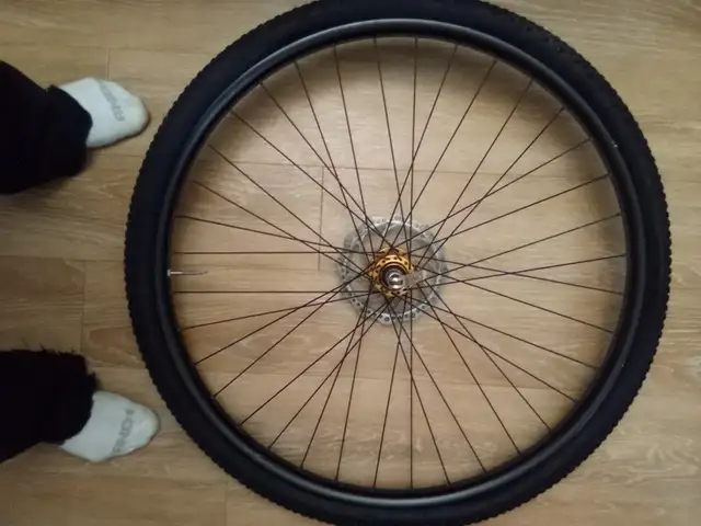 29"er mountain bike front wheel with 160mm disc brake in Frames & Parts in Ottawa - Image 3