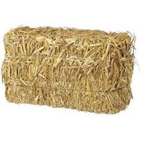 In search of straw bales for bedding. 