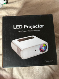 Video projector