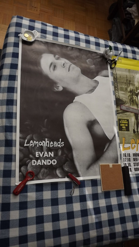 LEMONHEADS & EVAN DANDO B&W POSTERS/GERMAN CONCERT POSTER in Arts & Collectibles in City of Toronto - Image 4