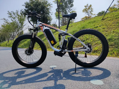 Brand New 2000 Watt All-Terrain Mountain E-Bike With Warantee, View more