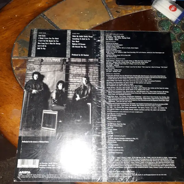 The Jeff Healey Band Hell to Pay Lp. 199063010223527939121