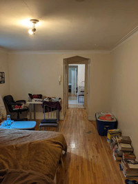 One Bedroom+ Den , Semi Basement , lots of light, McGill Ghetto