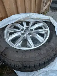 Winter Rims and tires