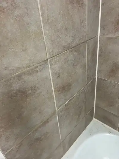 Shower Tiles and Grout Cleaned $100, View more