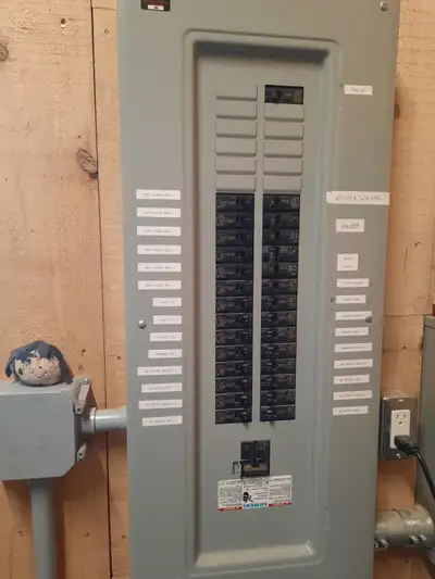 Looking for work in electrical field, View more