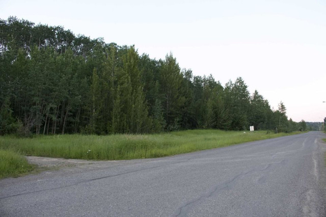Lakeview land for sale in Fort St James 9.2 acres in Land for Sale in Vanderhoof