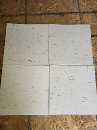 Commercial glue down vinyl tiles.