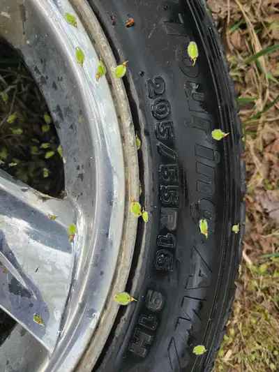 1 tire and crime mag. If somebody has a grand am, this would be an awesome spare tire.