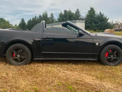 FORD MUSTANG GT - convertible