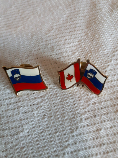 Metal single pins or friendship with Canada pins $3. or 2 for $5