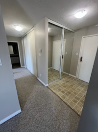 MAY 15 - main floor large 2 bedroom apt for rent!