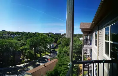 1B1B apartment 3rd floor w elevator& Lake view, Pet friendly