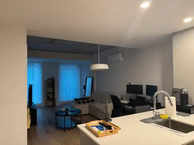 Old Port Apartment 2 Months Sublease