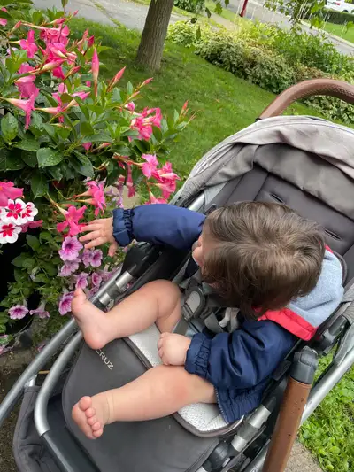 uppababy stroller, View more