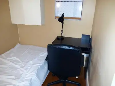 Lu and hospital area available now