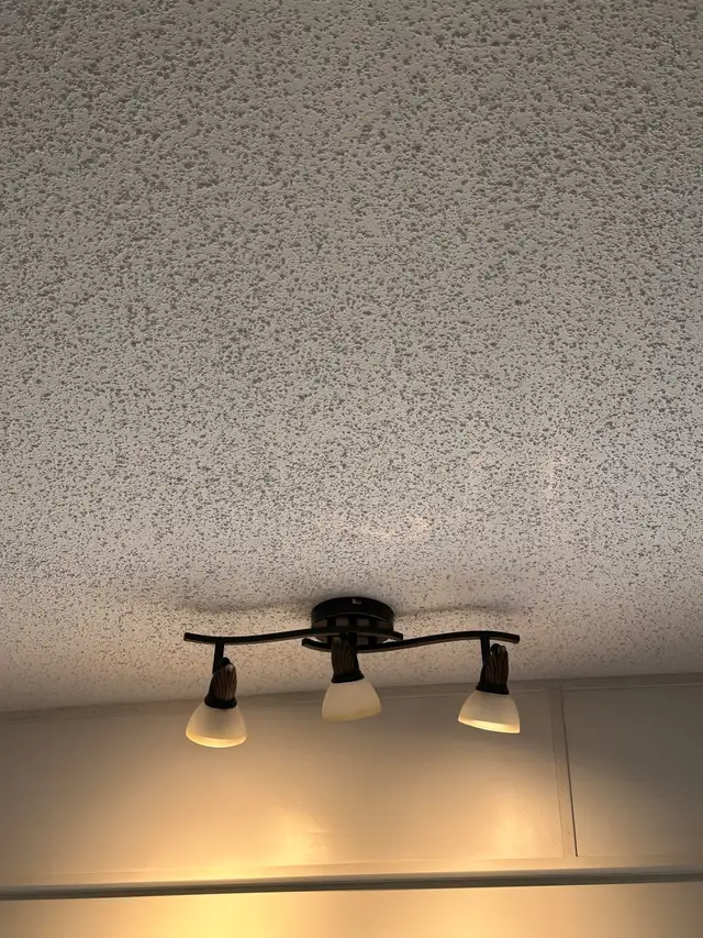 3-Light Curved Track Ceiling Light