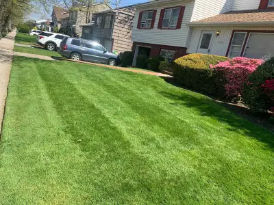 Looking to expand and hiring hard working candidates for lawn maintenance staffs. If you have your o...