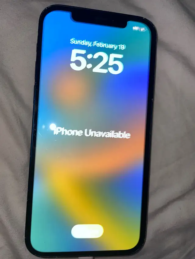 Disabled IPhone 12628632694713611224