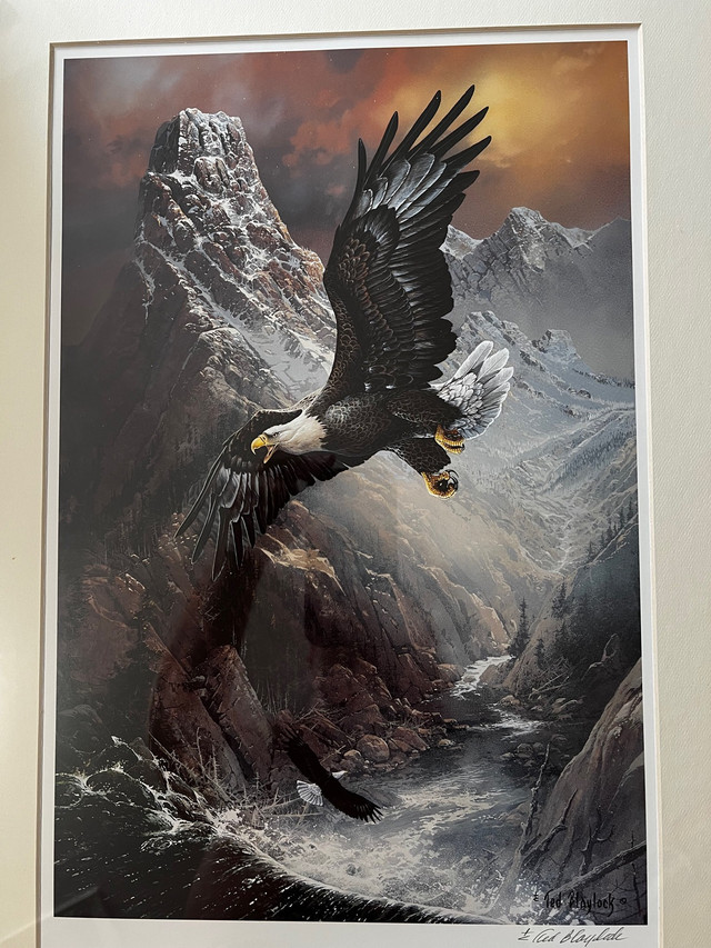 Ted Blaylock Eagle Painting  in Arts & Collectibles in Peterborough - Image 2