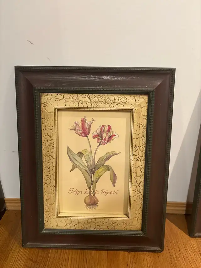 Framed Floral Prints in Home Décor & Accents in Fort McMurray - Image 3