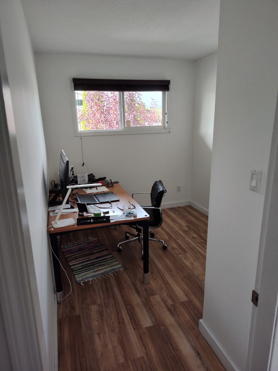 Newly updated and renovated upper class 3 Bed 1 Bath apartment 2