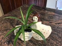 SWEET PLANTER AND SPIDER PLLANT